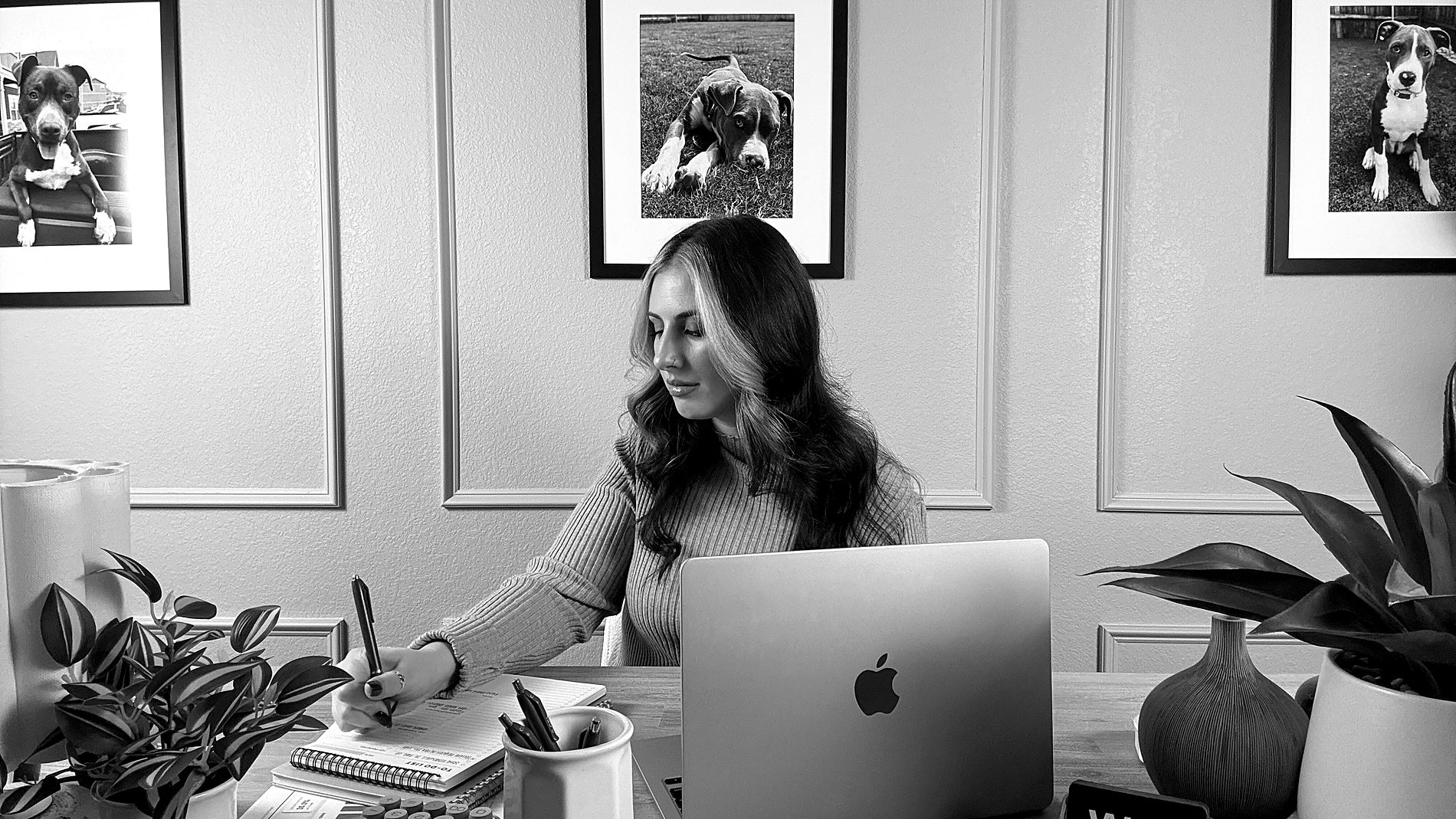 The Wolfepack Advantage team at work